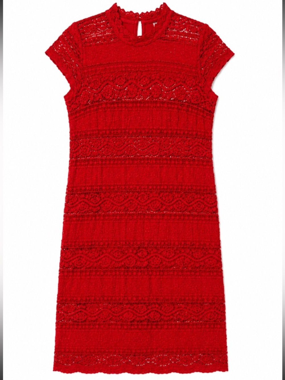 Hope & Harlow • Lace • Sheath• Cocktail Dress • Size 12/Large
